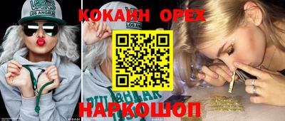 амф Гудермес